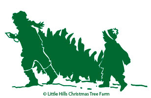 Little Hills Christmas Tree Farm in Petalum